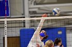 Volleyball vs RWU  Wheaton Women’s Volleyball vs Roger Williams University. : Volleyball, VB